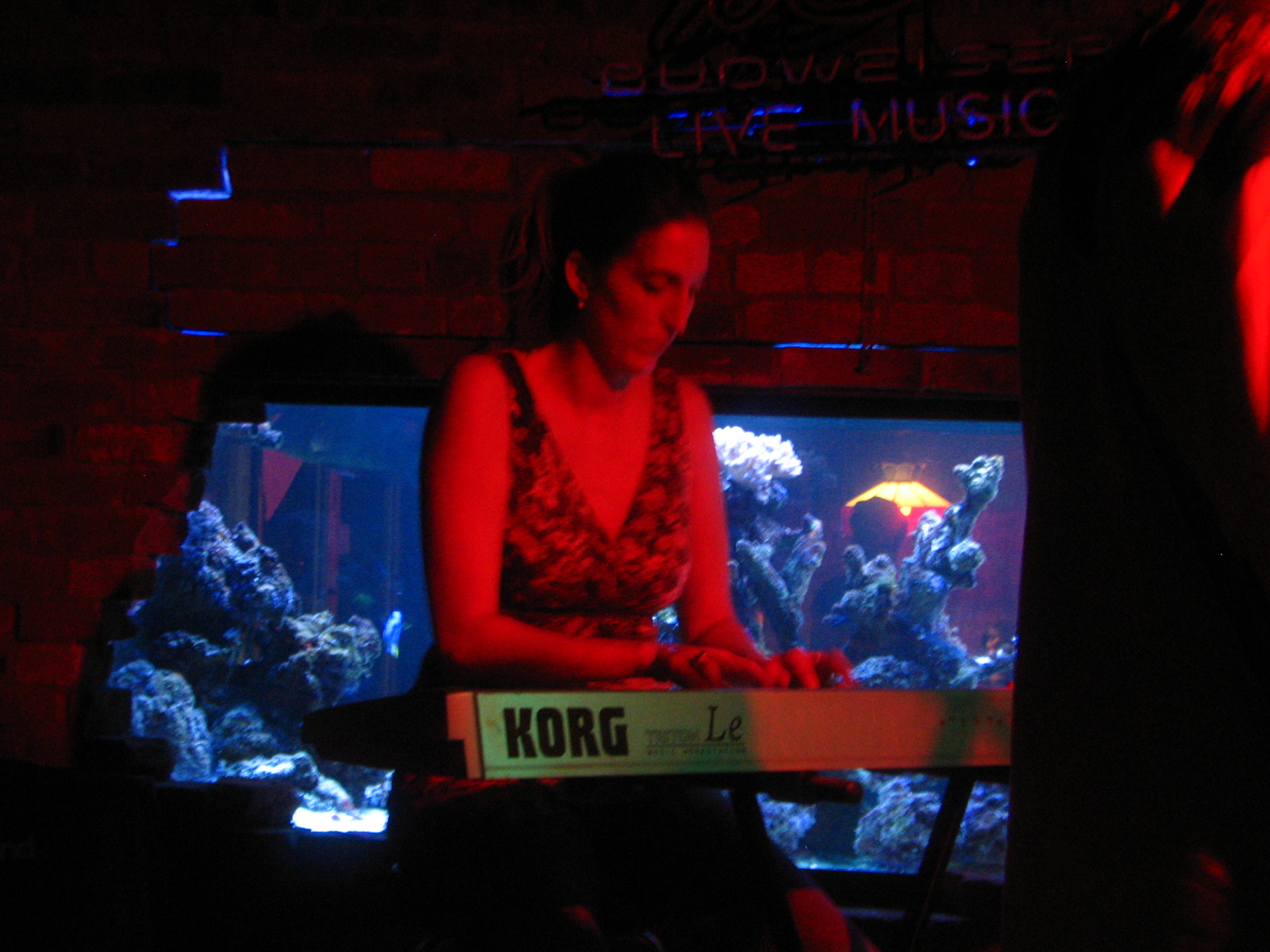 IMG_3446.JPG