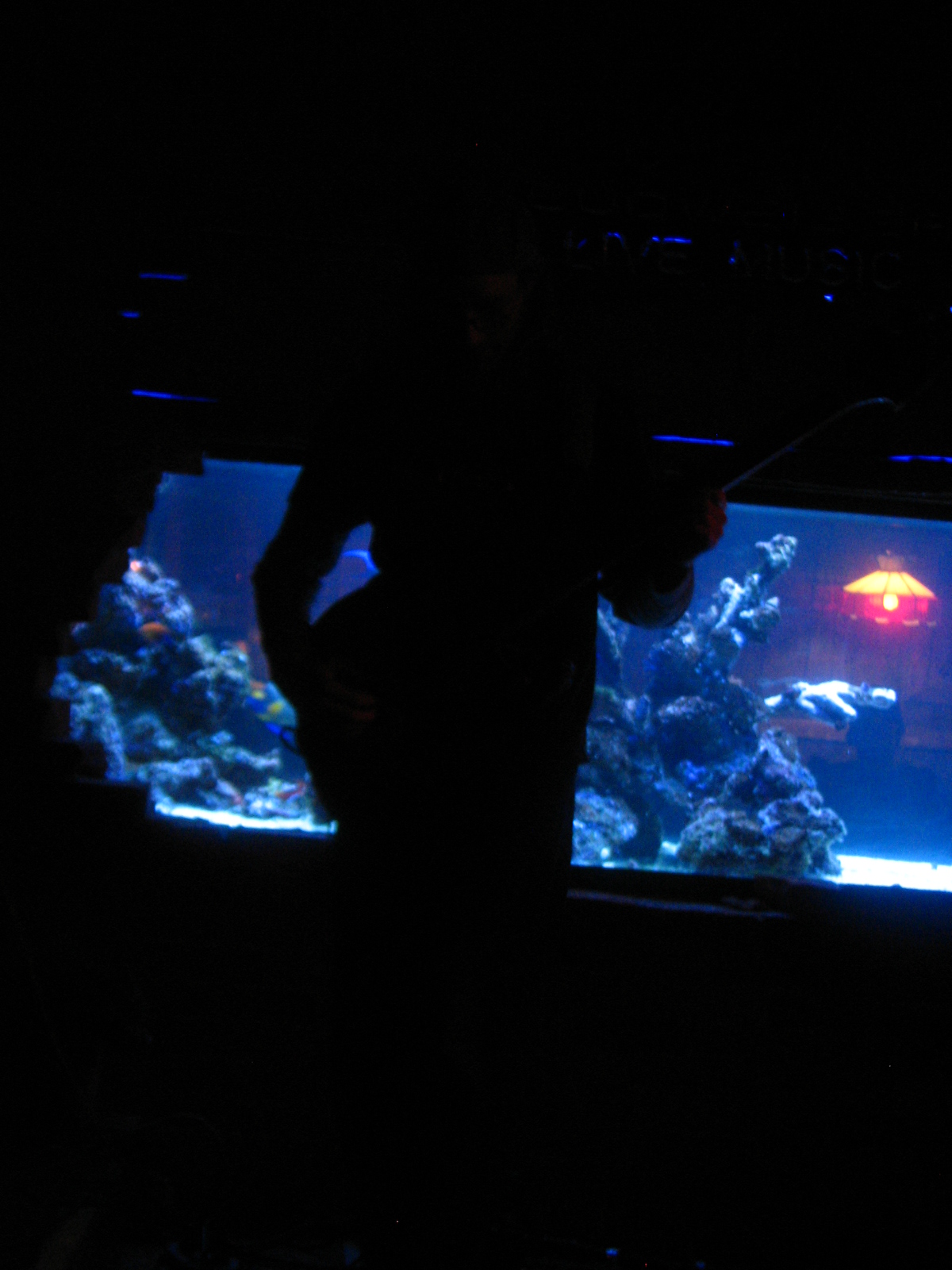 IMG_3988.JPG