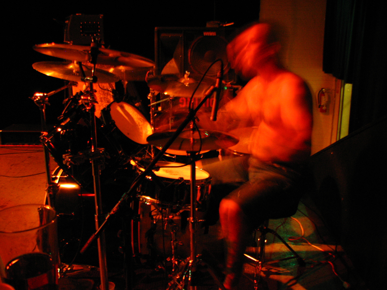 IMG_8135.JPG